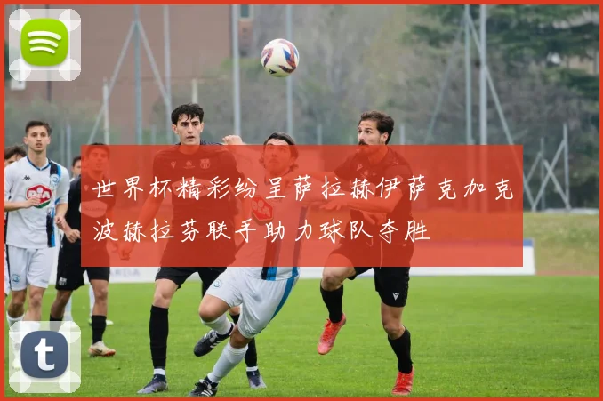 世界杯精彩纷呈萨拉赫伊萨克加克波赫拉芬联手助力球队夺胜