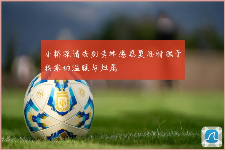 小桥深情告别黄蜂感恩夏洛特赋予我家的温暖与归属
