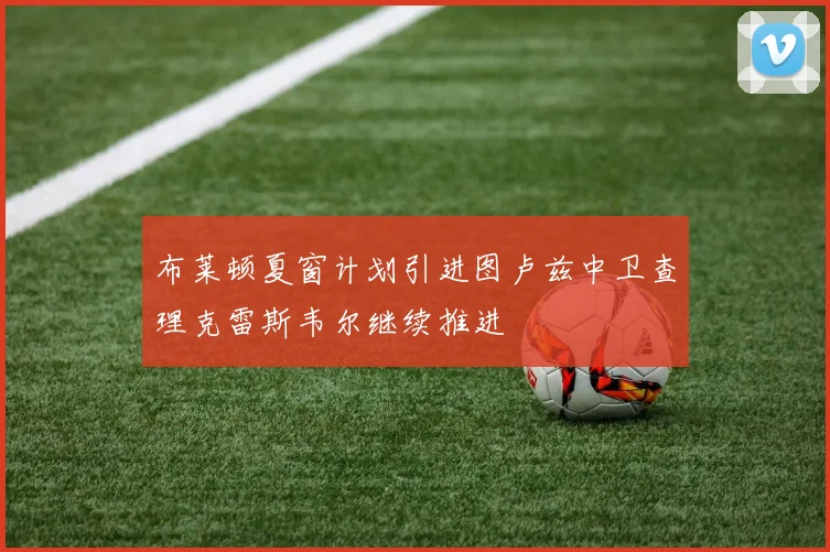 布莱顿夏窗计划引进图卢兹中卫查理克雷斯韦尔继续推进